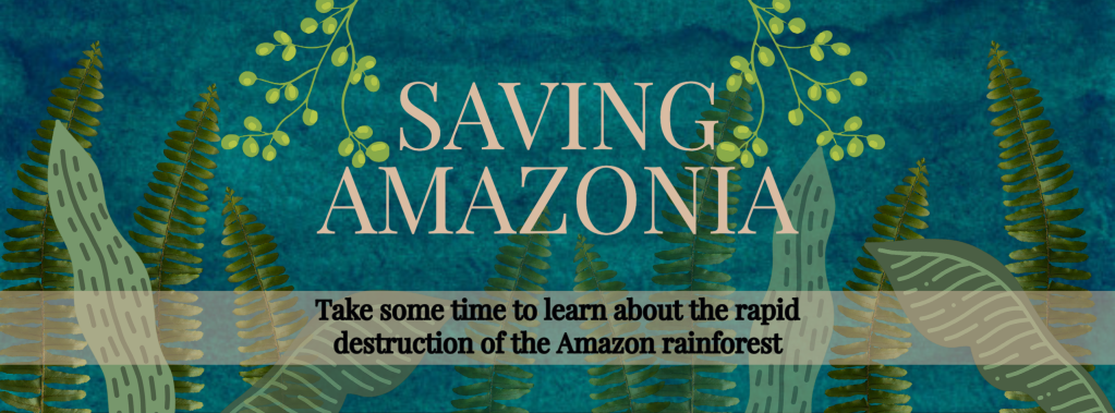 Saving Amazonia Digital Book Display FSULIB saving-amazonia-digital-book-display-fsulib